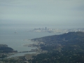 Mount Tamalpais